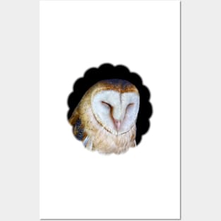 The Barn Owl Posters and Art